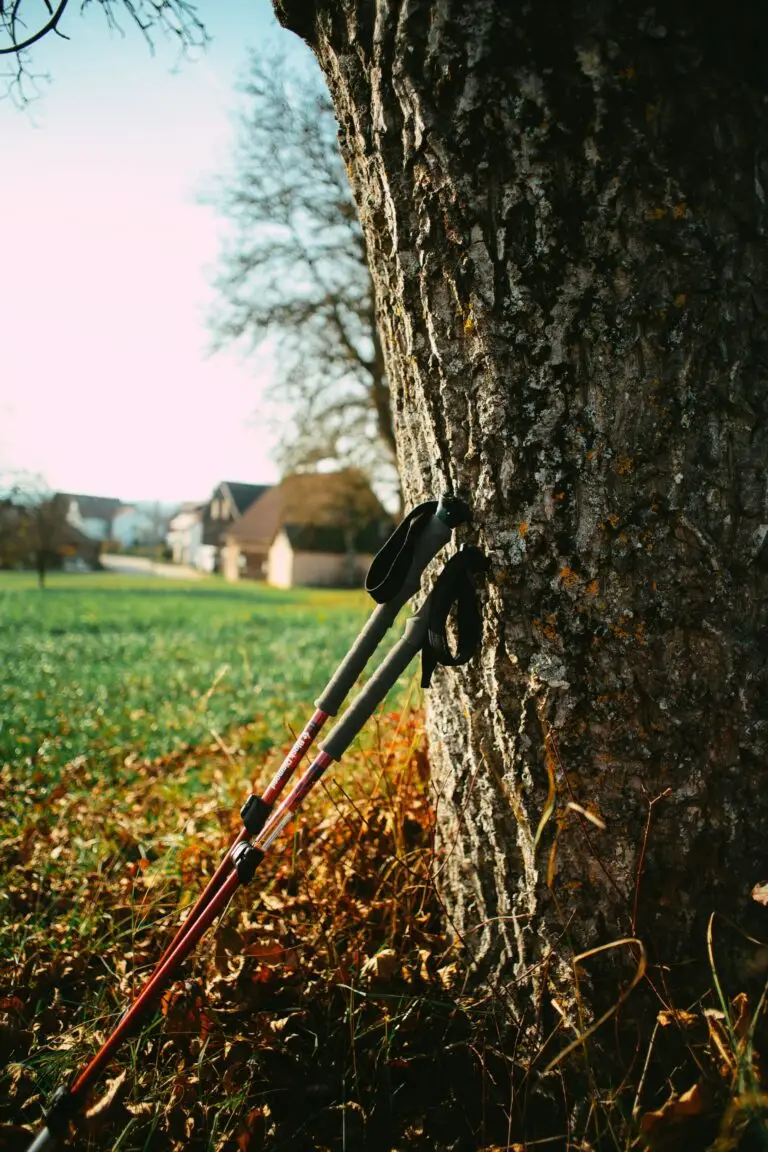 Nordic walking